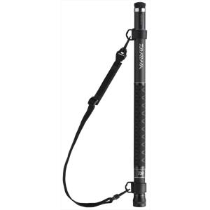 ダイワ ランディングポール LANDING POLE 602 2012年モデル (振出)