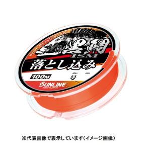 Valleyhill（バレーヒル） 釣武者 ライン キャメックス ULTIMA最強