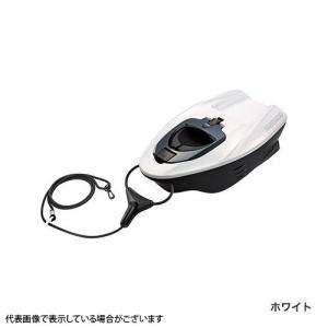 DAIWA（ダイワ） TOMOFUNE (友舟/ともふね) BX-800S (フィッシング