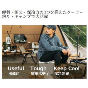 シマノ クーラボックス NF-322V フィク...の詳細画像1