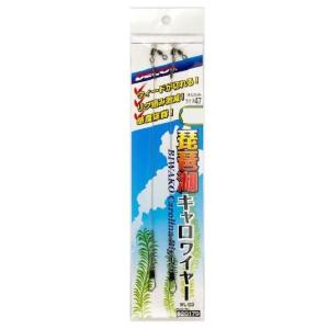 DAIWA（ダイワ） エメラルダスSTOIST AGS IL 89LML