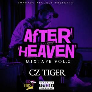 Cz TIGER / AFTER HEAVEN - Mixed By DJ GURI [CD]｜castle-records