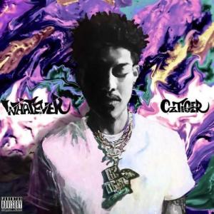 Cz TIGER / WHATEVER [CD]｜castle-records