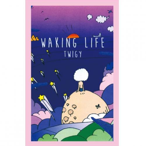 TWIGY / WAKING LIFE [TAPE]