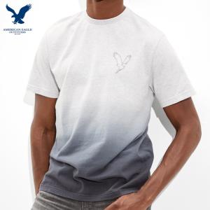 アメリカンイーグル tシャツ メンズ American Eagle Outfitters｜casualshop