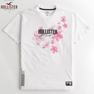 ホリスター tシャツ メンズ HOLLISTER Co.