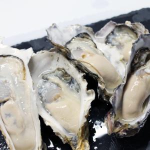 牡蠣　訳あり　送料無料　宮城産　殻付き牡蠣　4kg　生食
