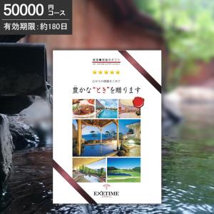 エグゼタイム パート5 50000円コース カタ...の商品画像