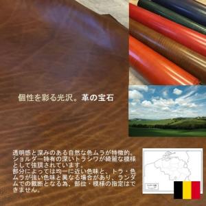 イタリアンレザー ルガトー iPhone15p...の詳細画像3