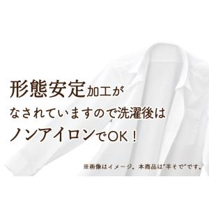 即納 スクールシャツ 女子 半袖 綿100% ...の詳細画像3