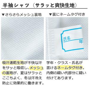 即納 体操服 上下セット 選べる2点セット 半...の詳細画像4