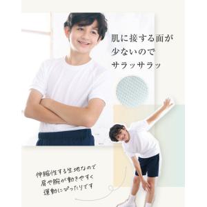 即納 体操服 半袖 小学生 シャツ 吸汗速乾 ...の詳細画像4