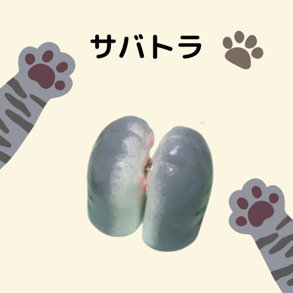 ねこ の両手 マグネット カードスタンド 猫の手 肉球 猫雑貨 猫好き プチギフト