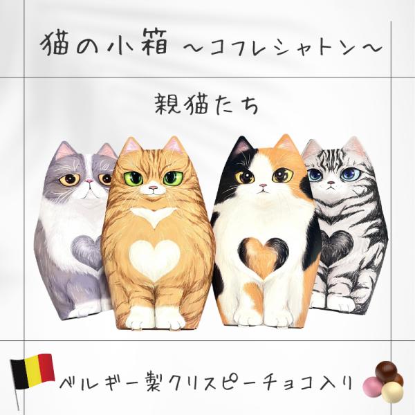 コフレシャトン クリスピーチョコ 親猫 猫箱 プチプレ ベルギー製チョコ