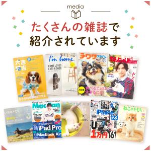 獣医師推奨 猫犬ごはん用 タイマー式自動給餌器...の詳細画像5
