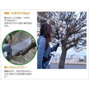 ET1208)家庭用電動高枝切りチェンソー(高...の詳細画像3