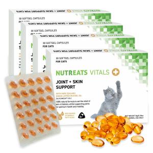 120粒】【あすつく】アンチノールプラス アンチノールplus 犬用