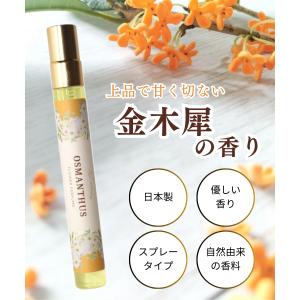 EMAKED（エマーキット） まつ毛美容液 3本分 大容量6ml 水橋保寿堂