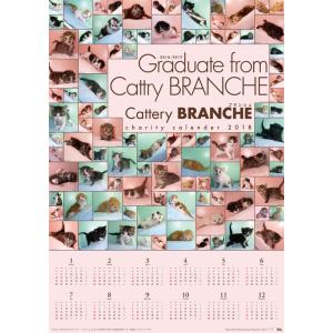 【ネコポス便可能】2018年 Cattery BRANCHE チャリティーポスターカレンダー /猫/ネコ/ねこ/子猫/乳飲み猫/