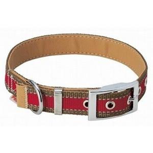 ネコポス便可能 訳あり ペティオ ベーシックプラス トリニティカラー M レッド