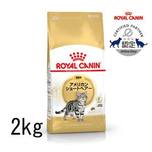 ロイヤルカナン アメリカンショートヘアー 成猫用 2kg｜cattery-branche