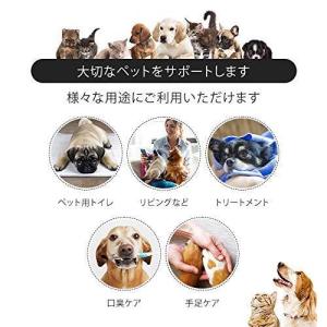 ぷらちなむnano フェイス34 除菌スプレー...の詳細画像4