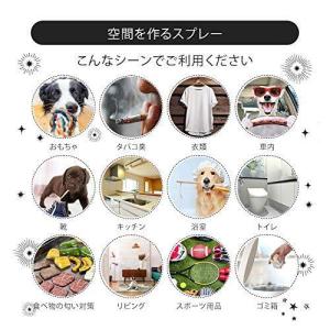 ぷらちなむnano フェイス34 除菌スプレー...の詳細画像5