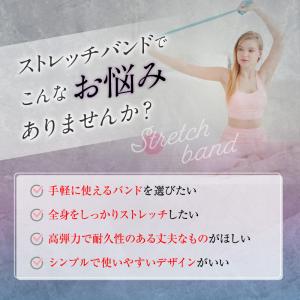ストレッチバンド トレーニングチューブ ゴムチ...の詳細画像1