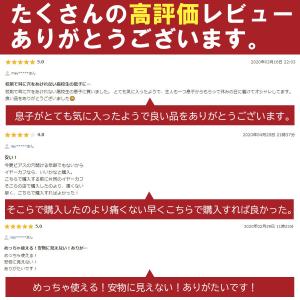 フェイクピアス 細い 太い メンズ レディース...の詳細画像2