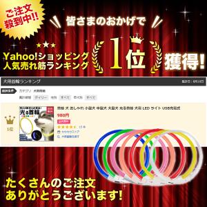 光る 首輪 犬 散歩 ライト LED ライト ...の詳細画像1