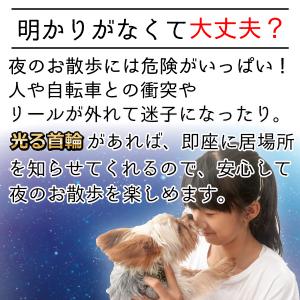 光る 首輪 犬 散歩 ライト LED ライト ...の詳細画像3