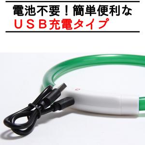 光る 首輪 犬 散歩 ライト LED ライト ...の詳細画像4