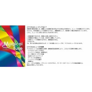国内正規販売店 マジカルヒューズ フルキット ...の詳細画像2