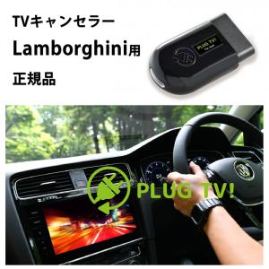 国内正規品 PLUG TV! for Volkswagen 作業不要 挿込むだけ
