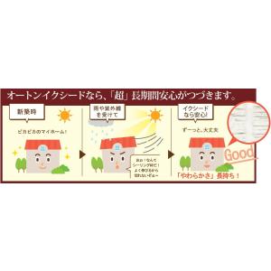 オートンイクシード 320ml × 10本 超...の詳細画像3
