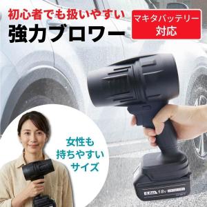 Color:シルバー・ブラック ブロワー 強力 洗車【1800g超強推力・160m/s