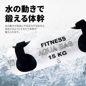 ウォーターバッグ 体幹 15kg / 15L ...の詳細画像2