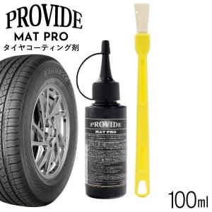 プロヴァイド PROVIDE 黒ずみスケール除去剤 PVD-A06 80ml 刷毛付き 車