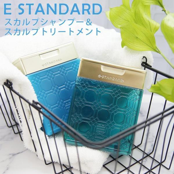 E STANDARD イイスタンダード シャンプー スカルプ + トリートメント セット ギフトセッ...