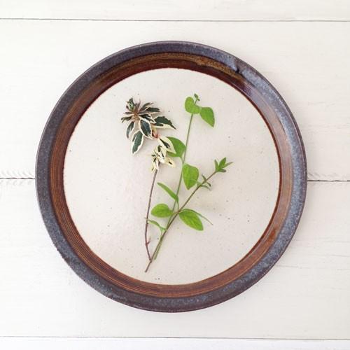 アメ釉 丸皿 25cm 大皿 ワンプレート パスタ皿 陶器 日本製 信楽焼 おしゃれ