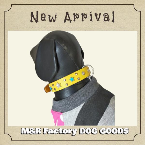 幅広い犬種に人気・M&amp;R Factoryイエローヌメ革製星スタッズ首輪25001　#首輪　#ボストン...