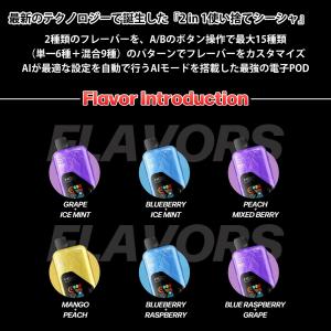 HQD CLICK PLUS 30000回吸引...の詳細画像2
