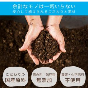 長命草 ・ 桑ノ葉 青汁粒 × 3袋 ( 3ヵ...の詳細画像4