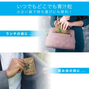 長命草 ・ 桑ノ葉 青汁粒 × 3袋 ( 3ヵ...の詳細画像5