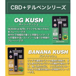 【新基準対応】CBD シーシャ AZTEC ア...の詳細画像5