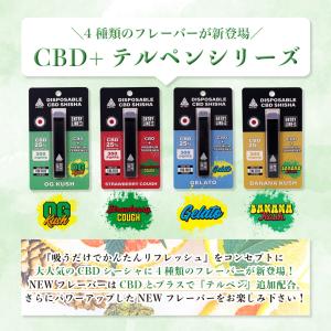 【新基準対応】CBD シーシャ AZTEC ア...の詳細画像2
