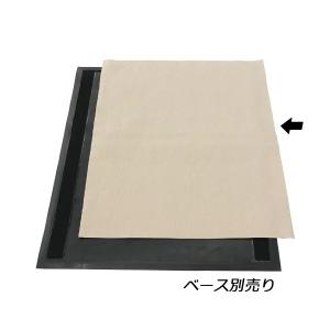 CxS シーバイエス ハイジーンマット 24枚入4991｜cc-net