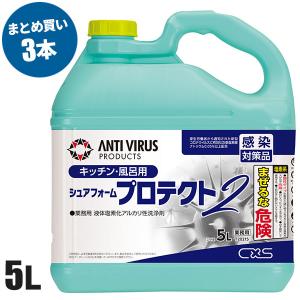 CxS シーバイエス シュアフォームプロテクト2 5L 3本入(＠1本あたり3641円)T20215｜cc-net