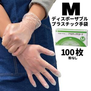 ディスポーザブル エコプラスチックグローブ XLサイズ 100枚入 粉なし
