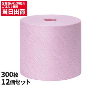 キョーリン 杏林製薬 ルビスタ ワイプ詰替用 300枚 ルビスタパウダーは別売 送り先に法人名or屋号必要です 12個入280380｜cc-net